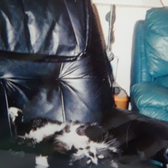 Meet your Posher, Shelly - Picture 6 of 9